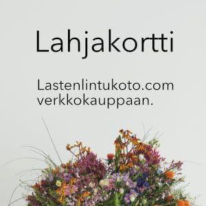 Lahjakortit