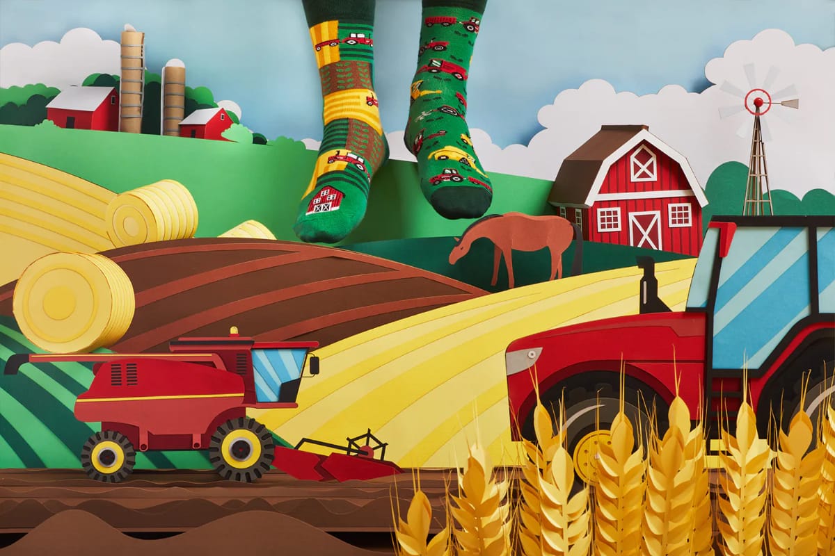 MANY MORNINGS aikuisten eriparisukat, Happy Harvest