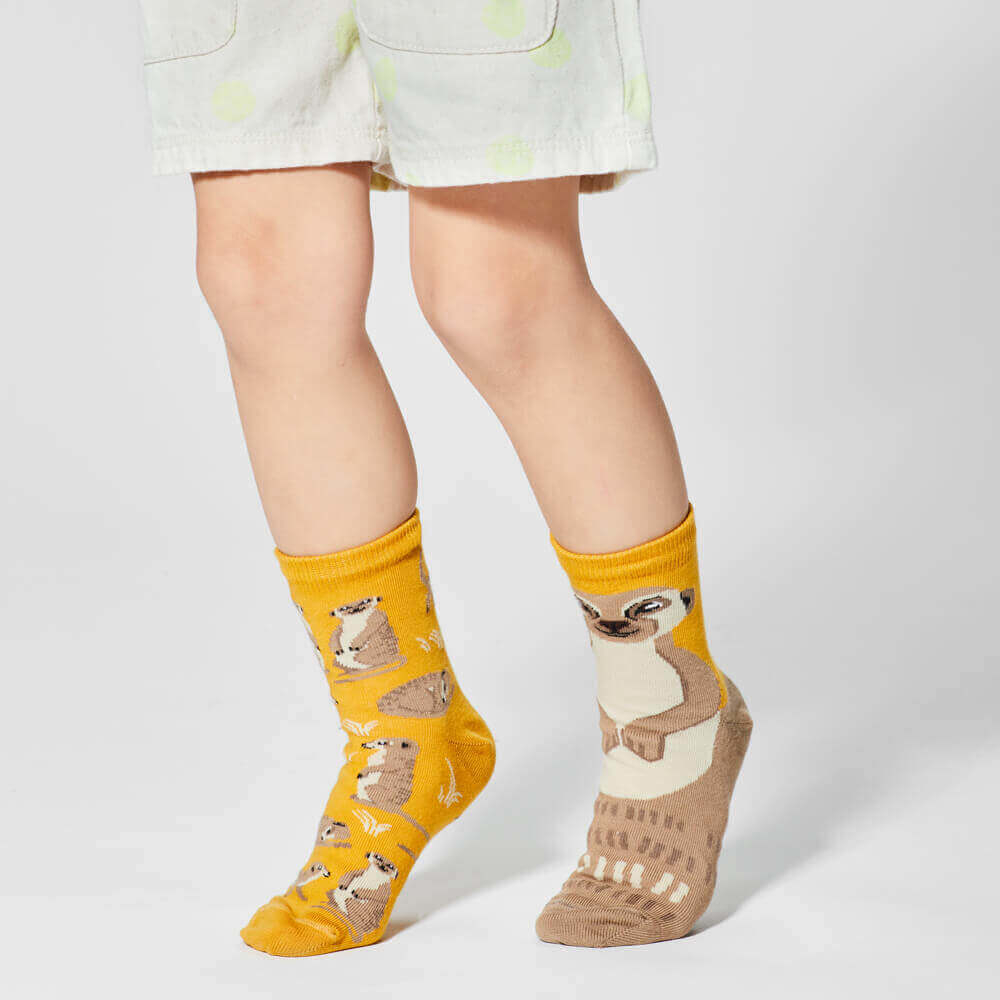 MANY MORNINGS lasten eriparisukat, The Meerkat