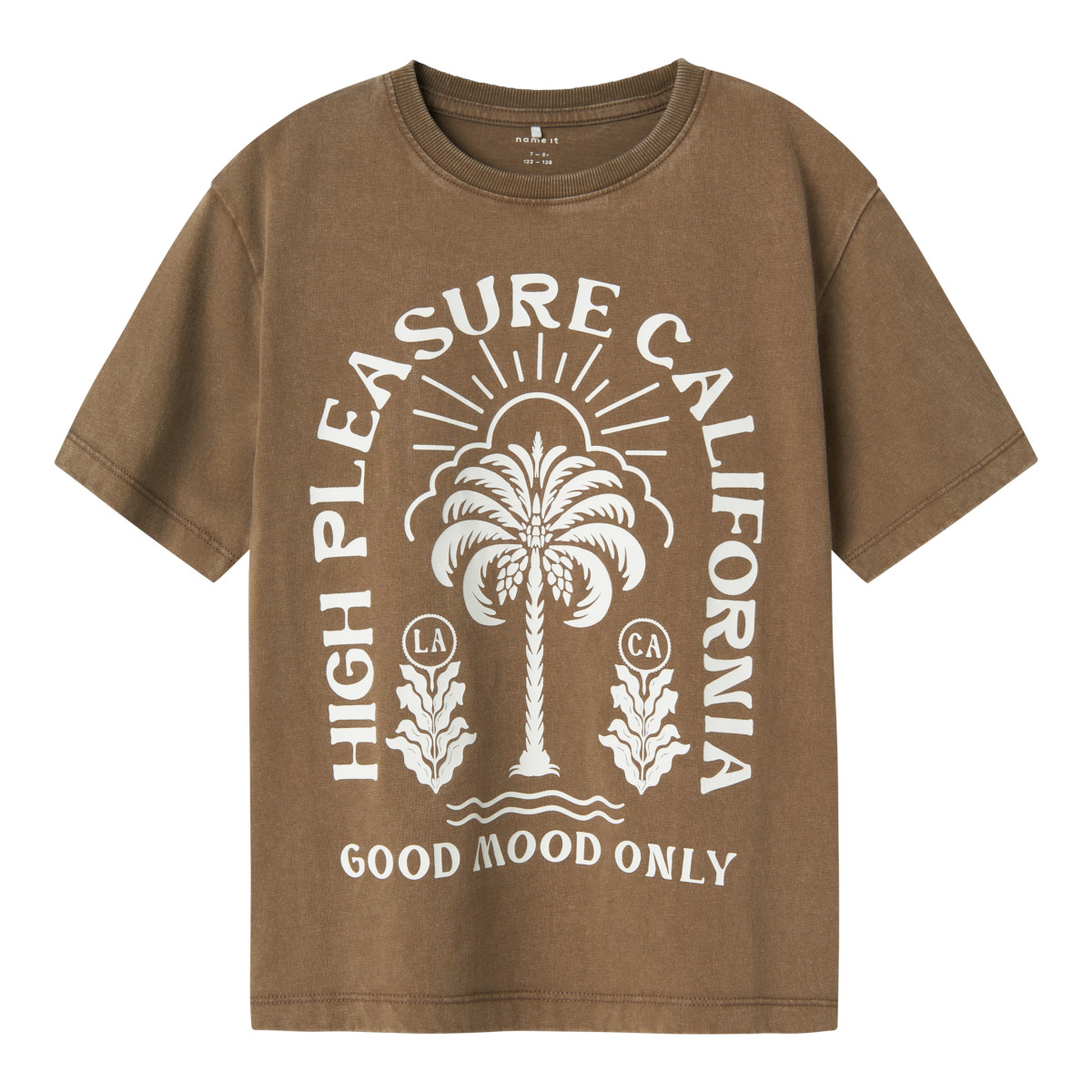 NAME IT NKMJARVU t-paita, Walnut