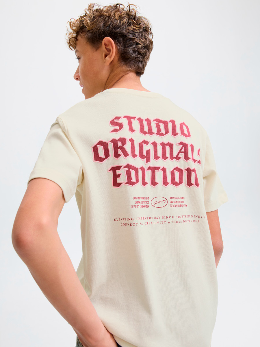 JACK & JONES JORMEADOWS t-paita, Antique White