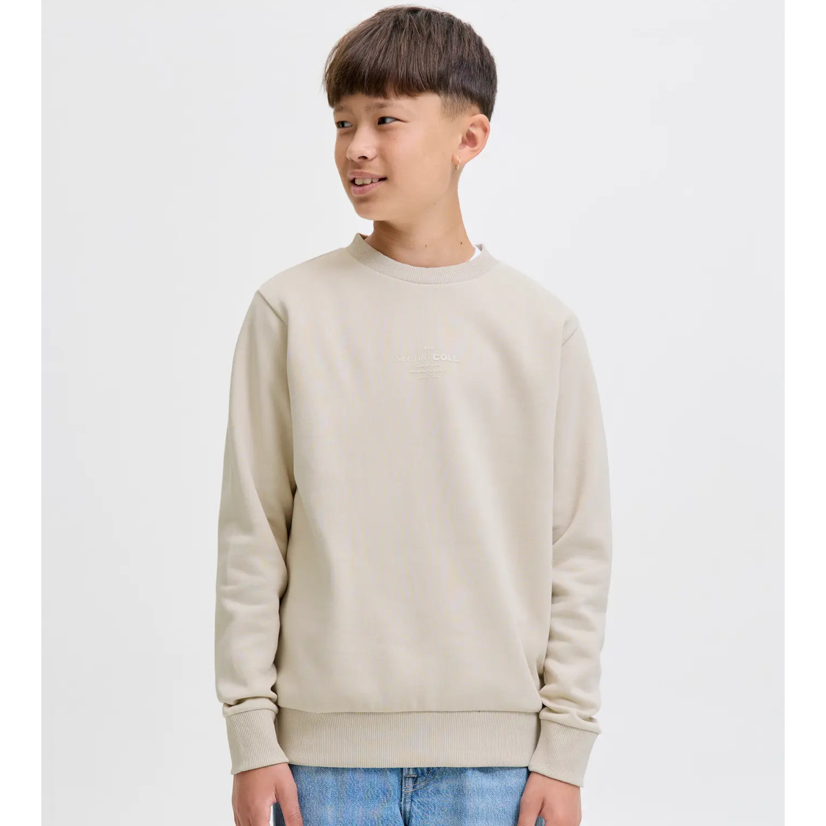 JACK & JONES JJJIN collegepaita, Moonbeam