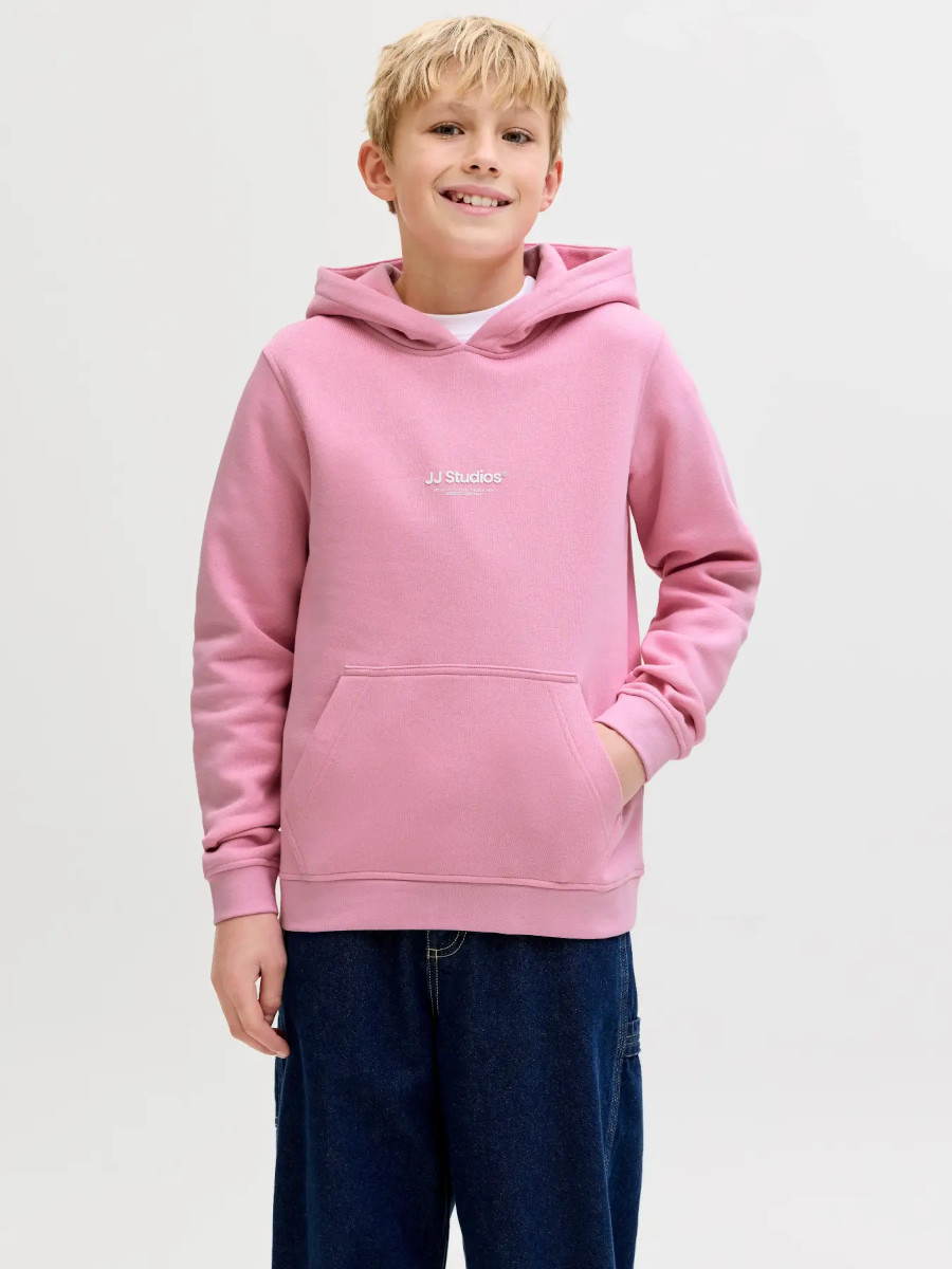 Alternative view of JACK & JONES JJESOHO collegehuppari, Prism Pink
