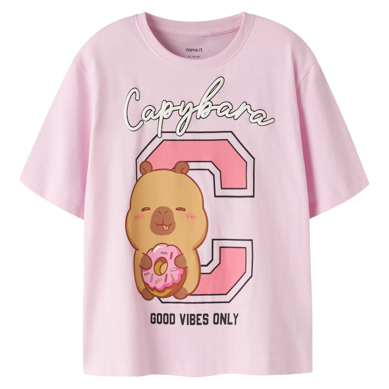 NAME IT NKFJYSSA CAPYBARA t-paita, Pirouette